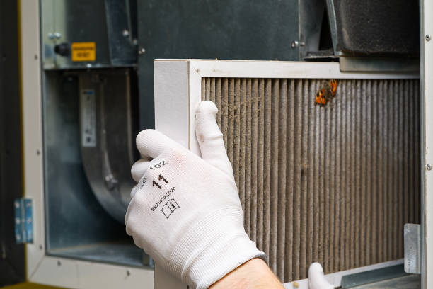 Best Home Air Vent Cleaning  in Ruidoso Downs, NM