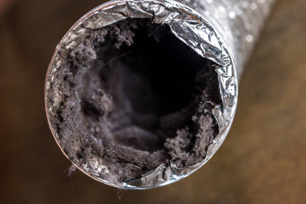 Best Ventilation Cleaning Services  in Ruidoso Downs, NM